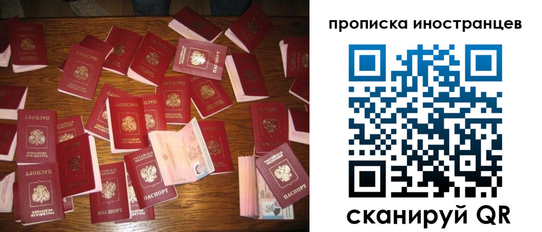 найти адрес прописки в Ленинградской области